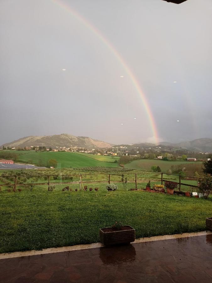 Il Faggio 17 B&B Artena Eksteriør bilde