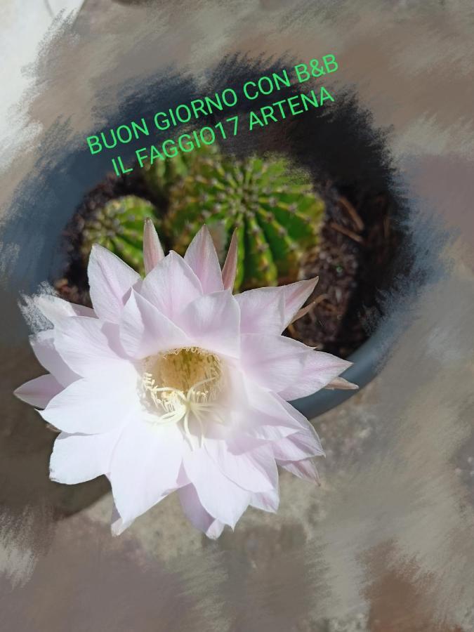 Il Faggio 17 B&B Artena Eksteriør bilde