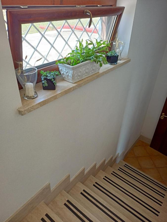 Il Faggio 17 B&B Artena Eksteriør bilde
