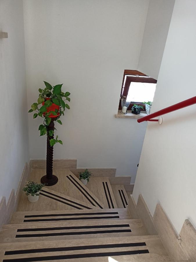 Il Faggio 17 B&B Artena Eksteriør bilde