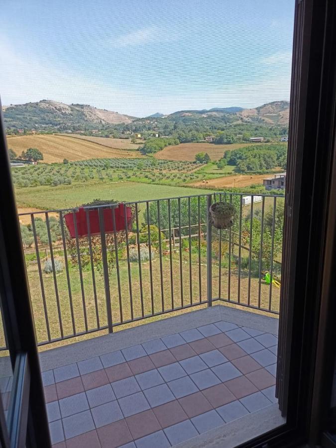 Il Faggio 17 B&B Artena Eksteriør bilde