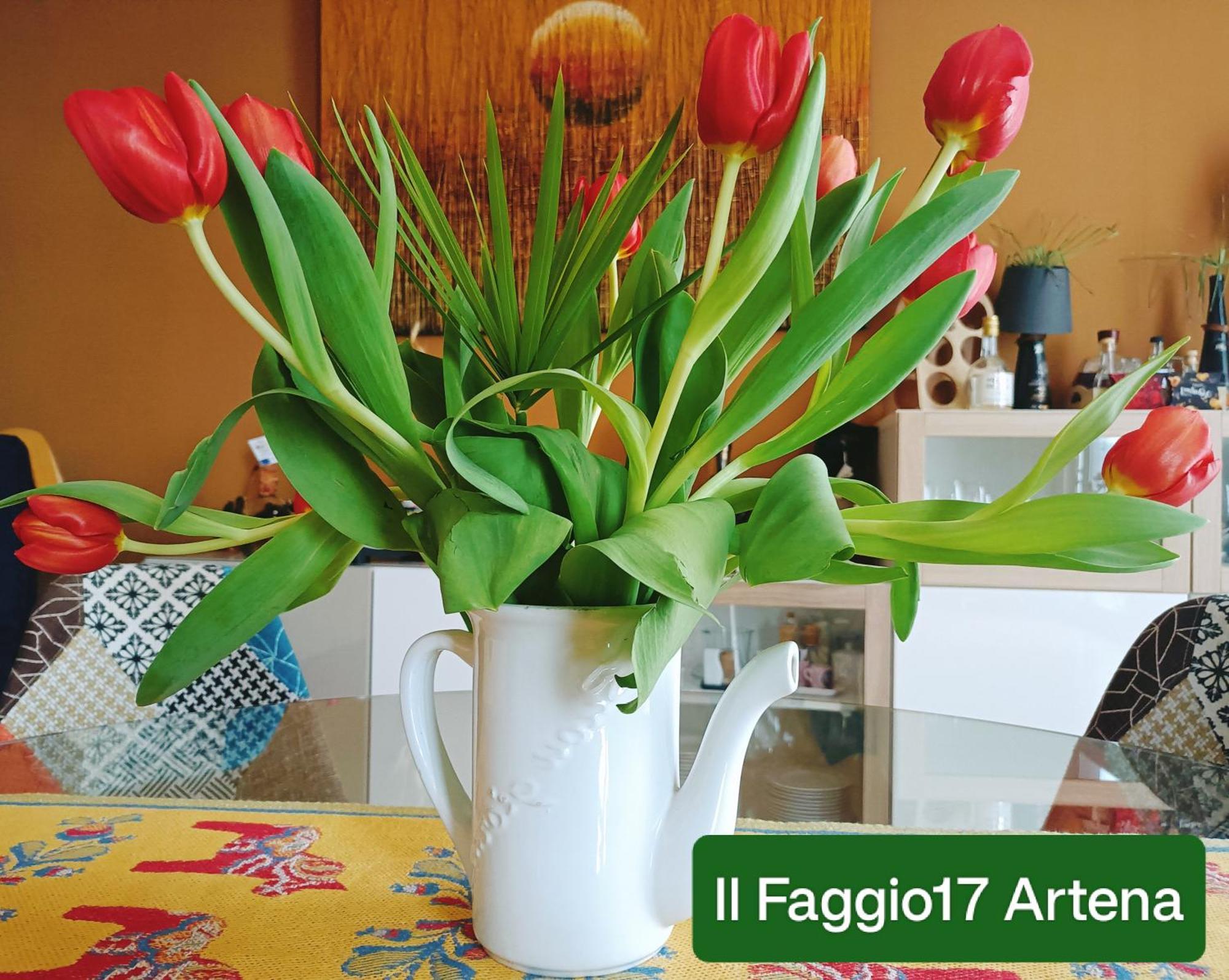 Il Faggio 17 B&B Artena Eksteriør bilde